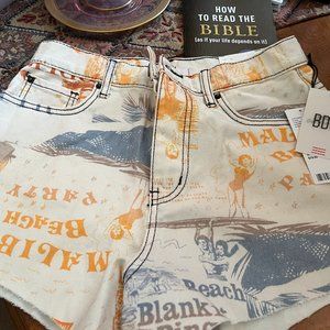 Urban Outfitters BDG Shorts